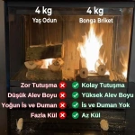Briket şömine odunu ile yaş odun karşılaştırması